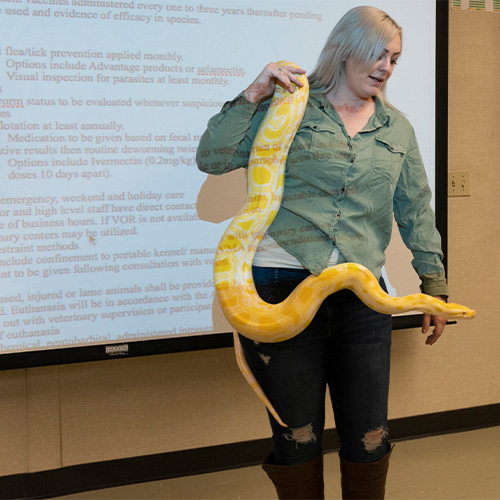 Veterinary Technician Agriculture